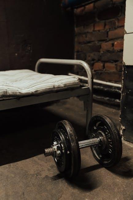 Understanding the Fundamentals of Compound and isolation Exercises